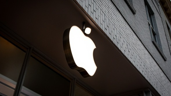  [사진: 셔터스톡]