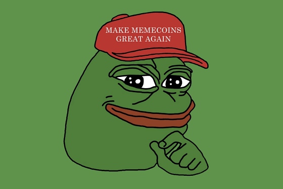 [사진: 페페 코인]