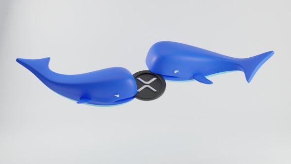 XRP 고래 [사진: 셔터스톡]