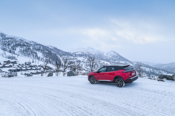 노르웨이에서 지난해 전기차 시장 점유율이 사상 최고치를 기록하며 인기를 끌었다 [사진 : 셔터스톡]