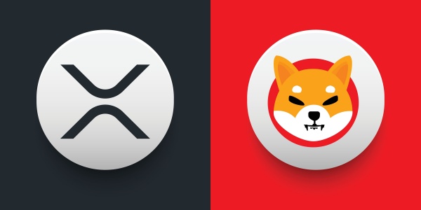 두바이에 거주하는 미디어 인플루언서가 보유 XRP를 전량 매각, 시바이누에 올인해 화제를 모으고 있다. [사진: 셔터스톡]