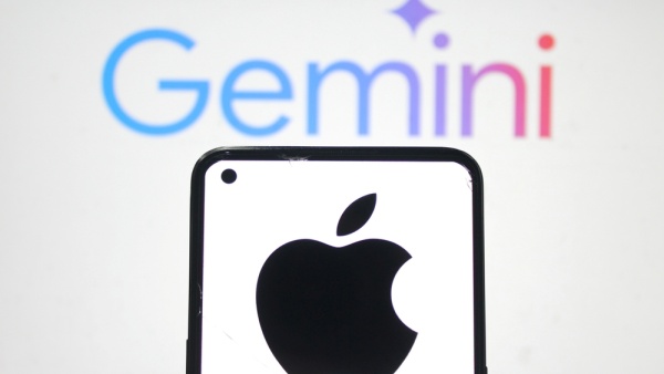  [사진: 셔터스톡]