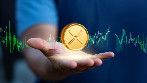 코치 JV의 사례는 암호화폐 시장에서 분할 매수 전략의 중요성을 다시 한번 부각시킨다. [사진: Reve AI]