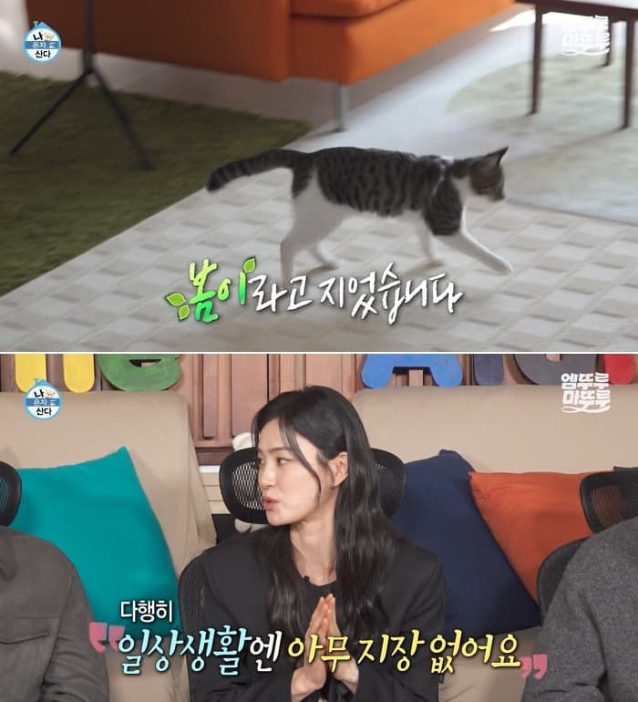 애니멀플래닛