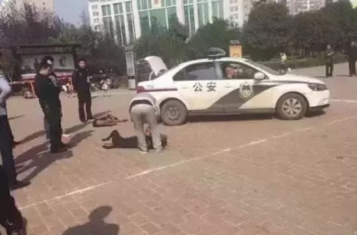 引用：新浪網