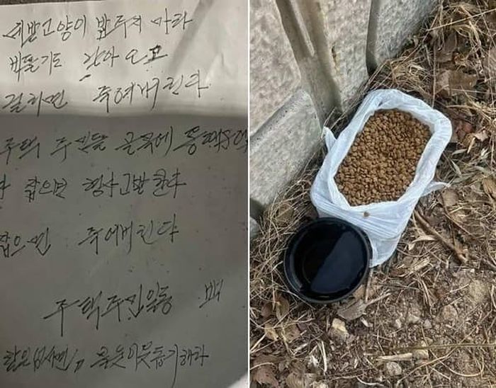 애니멀플래닛