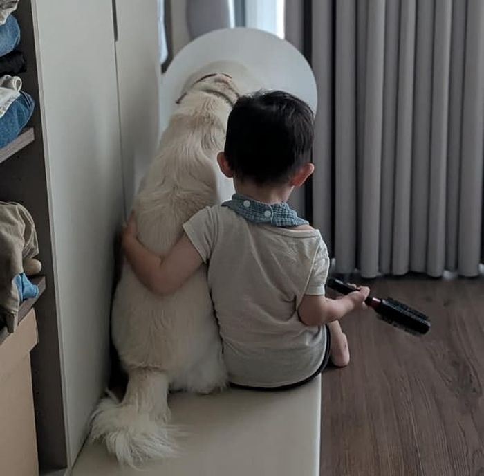 애니멀플래닛