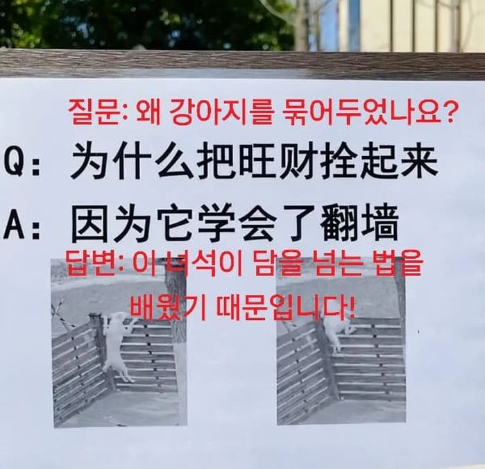 애니멀플래닛