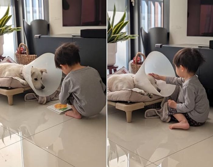 애니멀플래닛