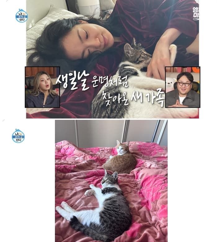 애니멀플래닛