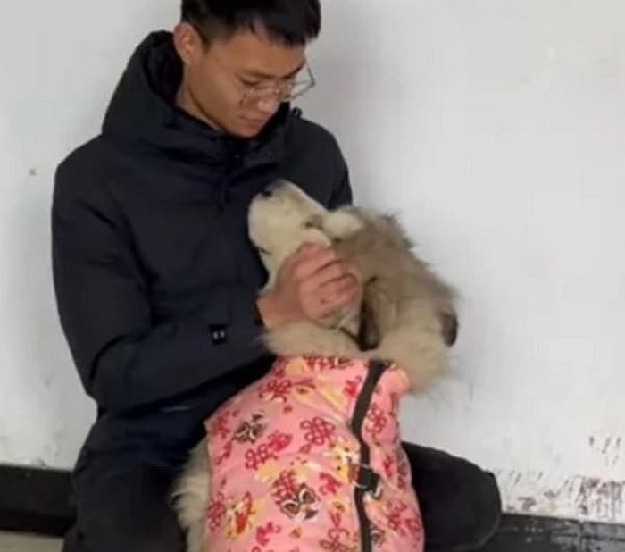 애니멀플래닛
