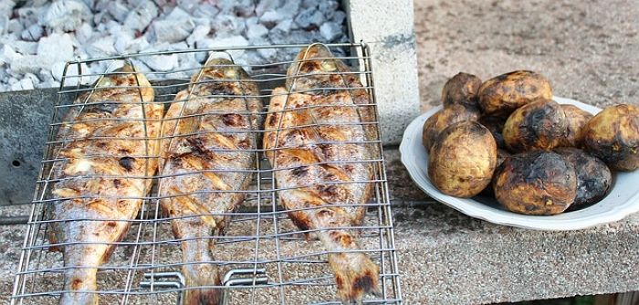 애니멀플래닛