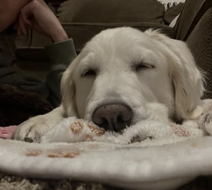 애니멀플래닛