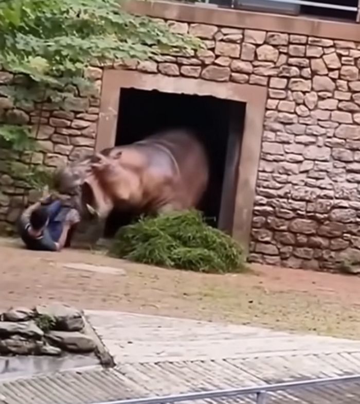 애니멀플래닛