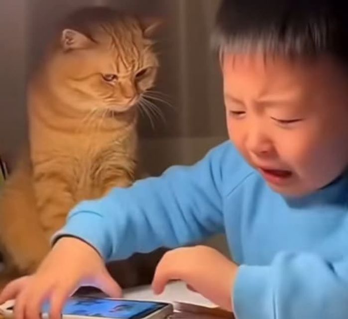애니멀플래닛