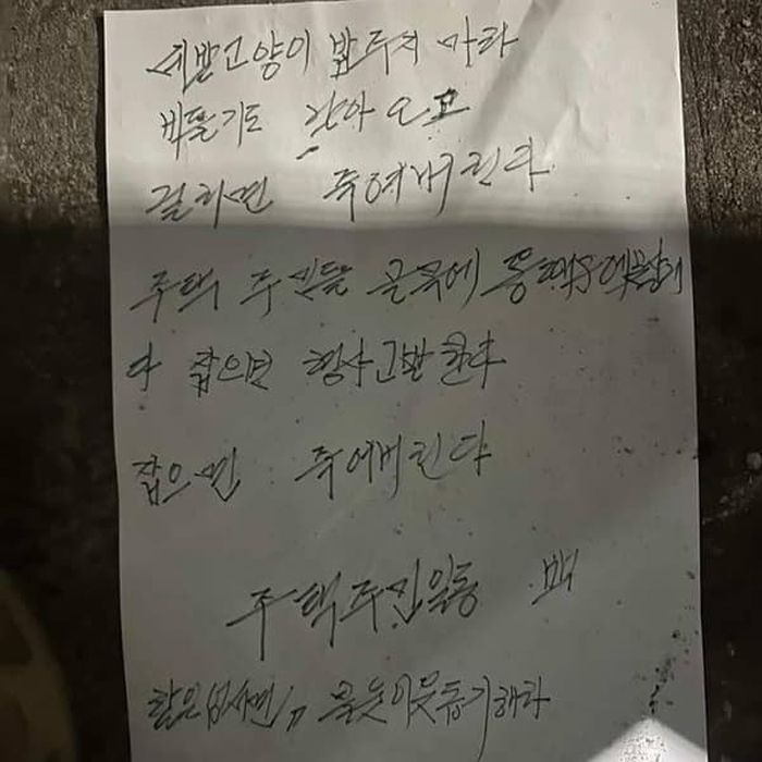 애니멀플래닛