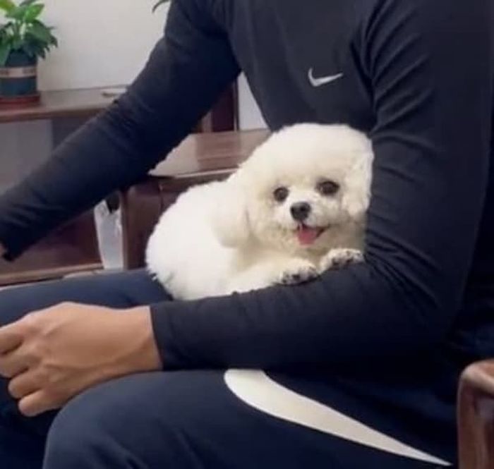 애니멀플래닛
