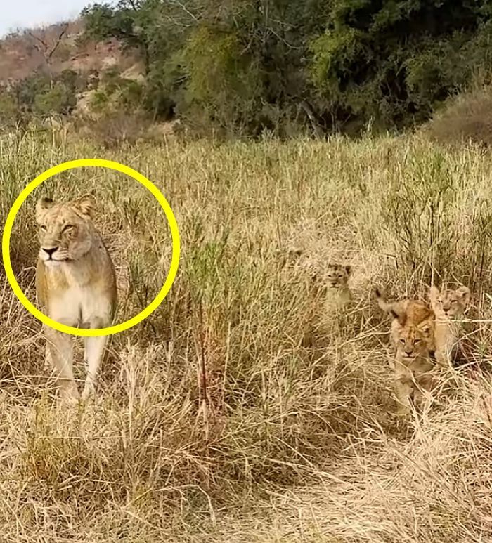 애니멀플래닛