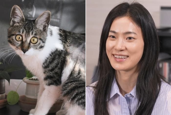 애니멀플래닛