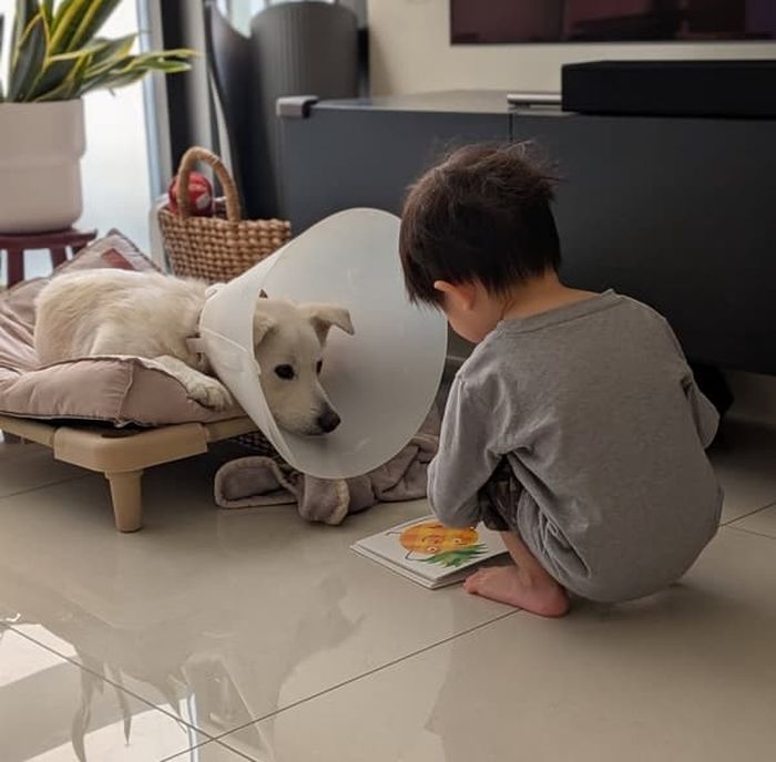 애니멀플래닛