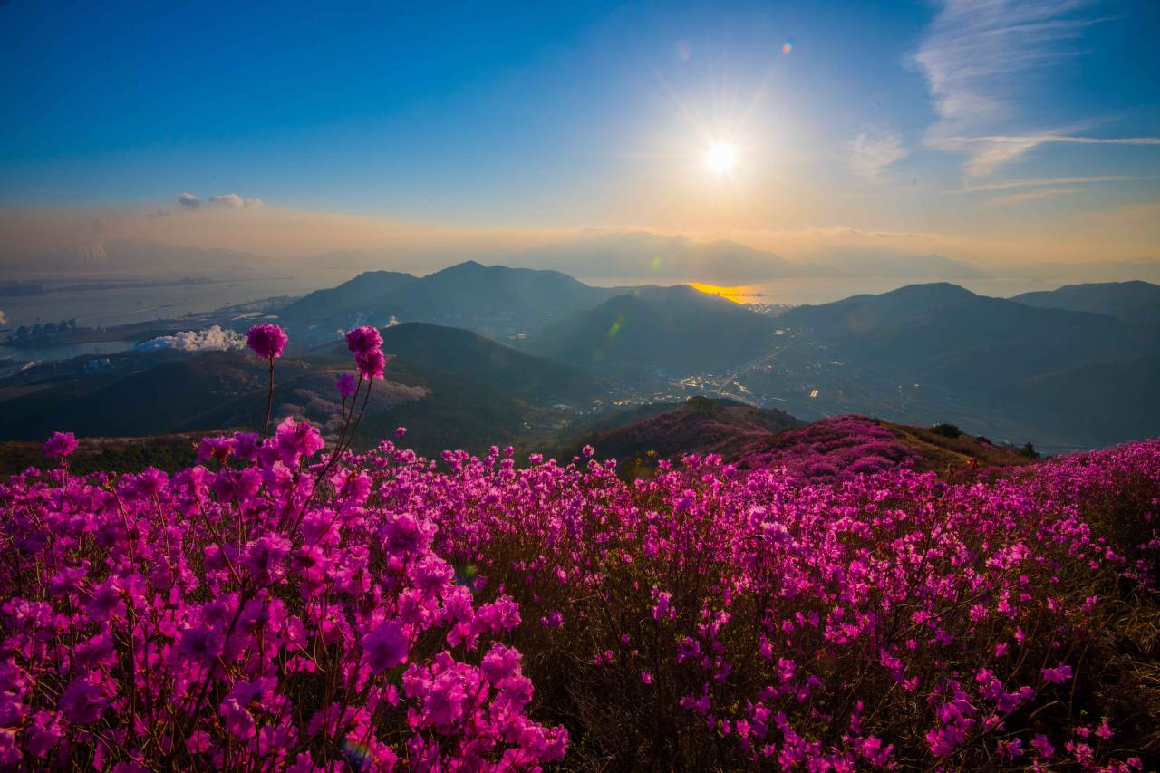 영취산 등산 코스 / 사진=한국관광공사 포토코리아@라이브스튜디오
