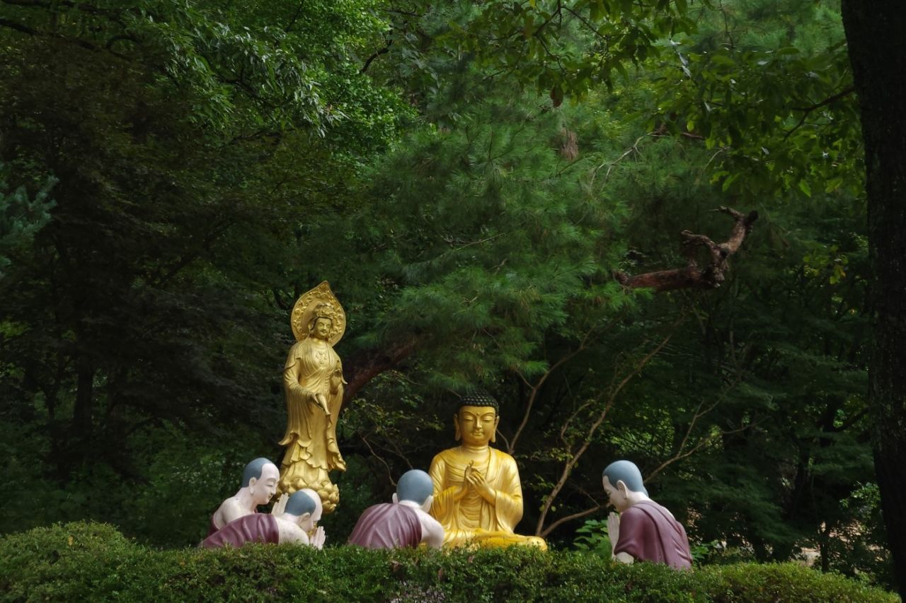 소원 성취 황금법당 수국사