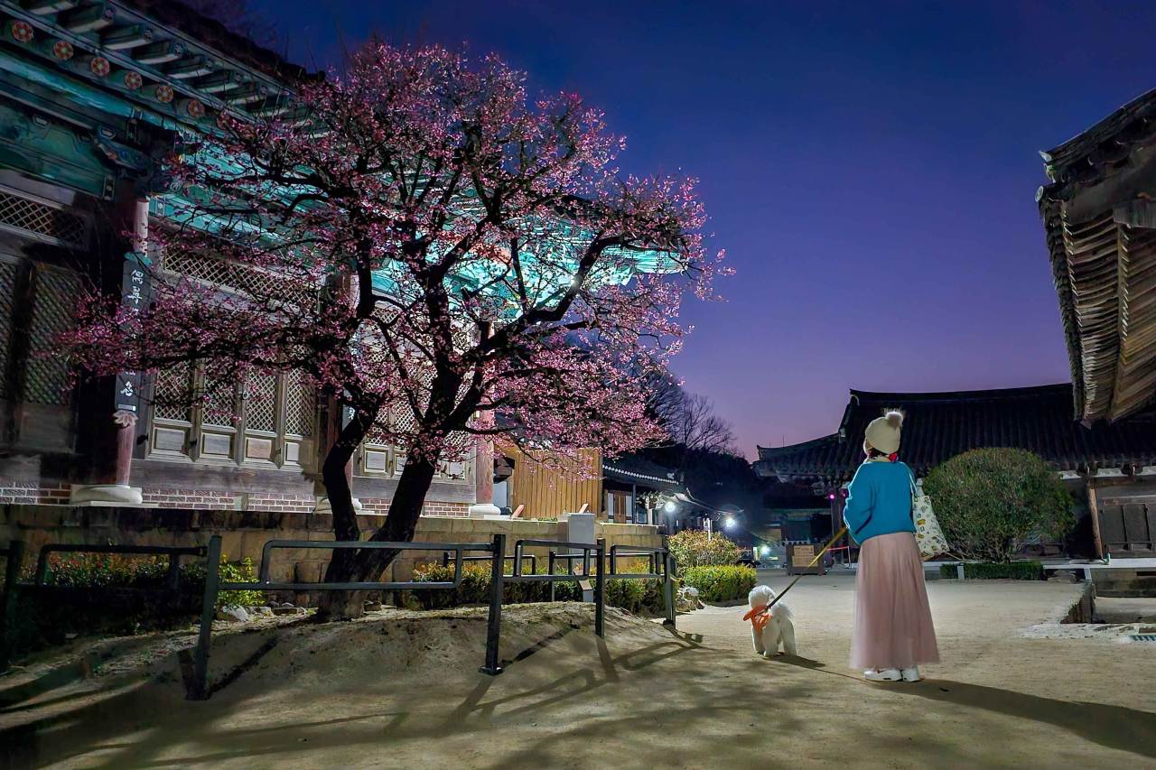&nbsp;  Korea Tourism Organization Photo Korea@Gwon Hyang-soon