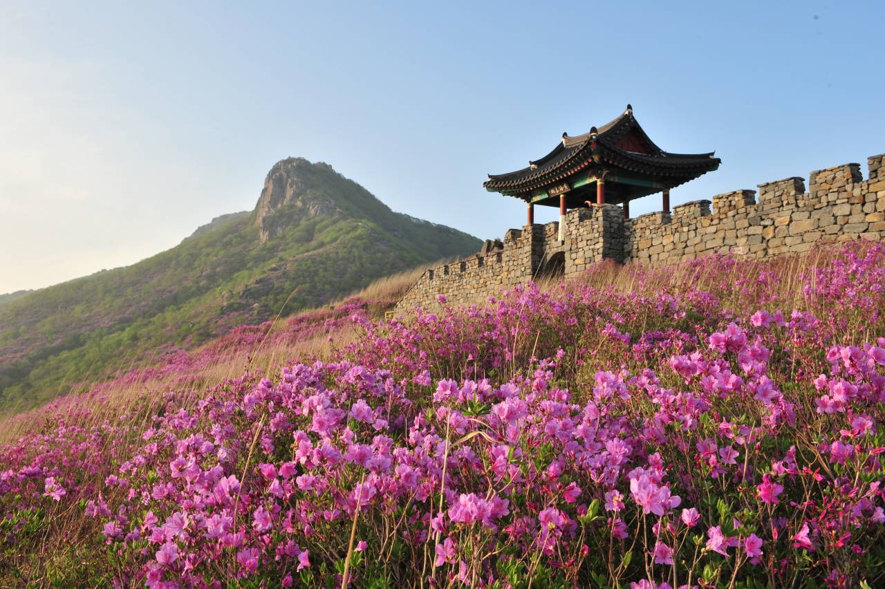 황매산에 핀 봄