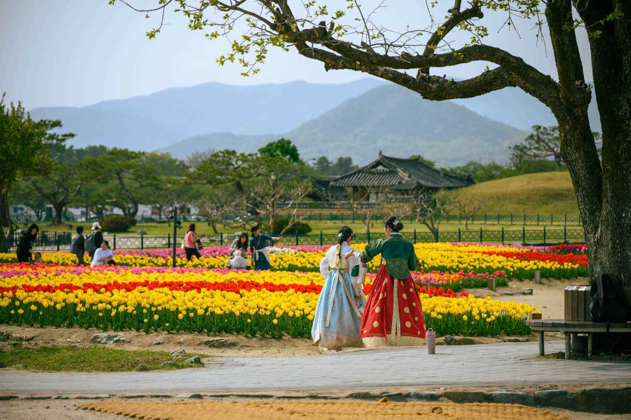 경주역사유적지구 / 사진=한국관광공사 포토코리아@이효직