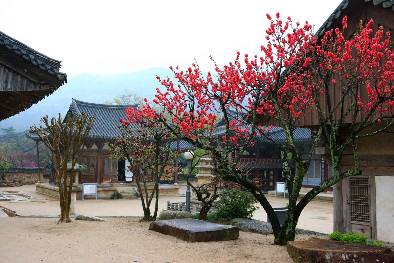수령 350년의 품격을 보여주는 통도사 / 사진=한국관광공사 포토코리아@김지호