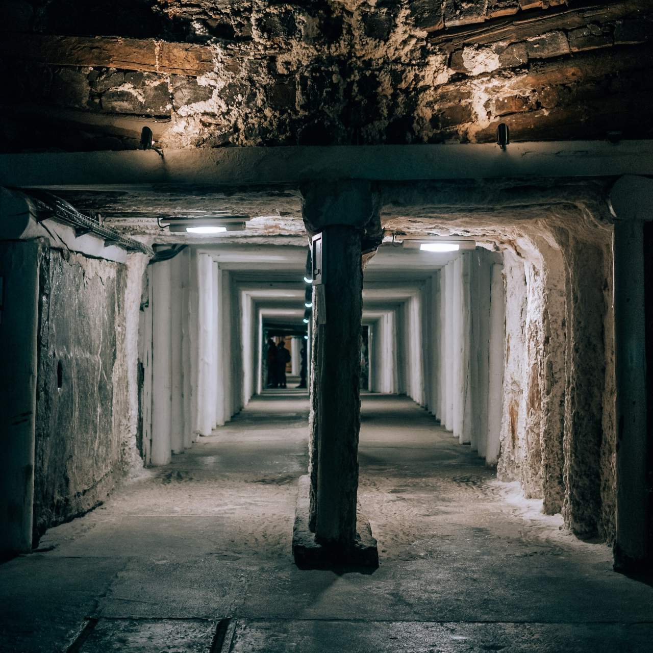 비엘리치카 소금광산 / 사진=unsplash@Yoav Aziz