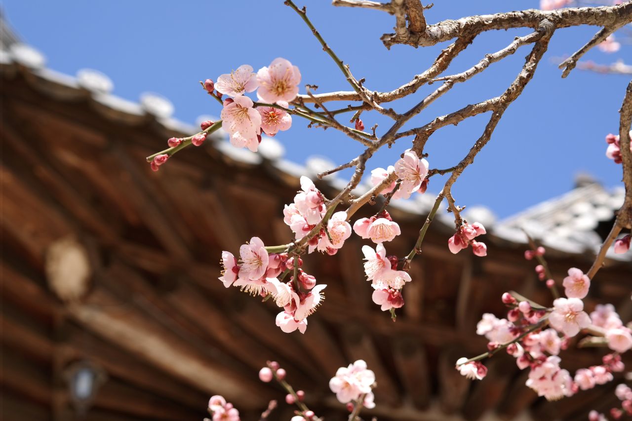 사진=한국저작권위원회@sea5112