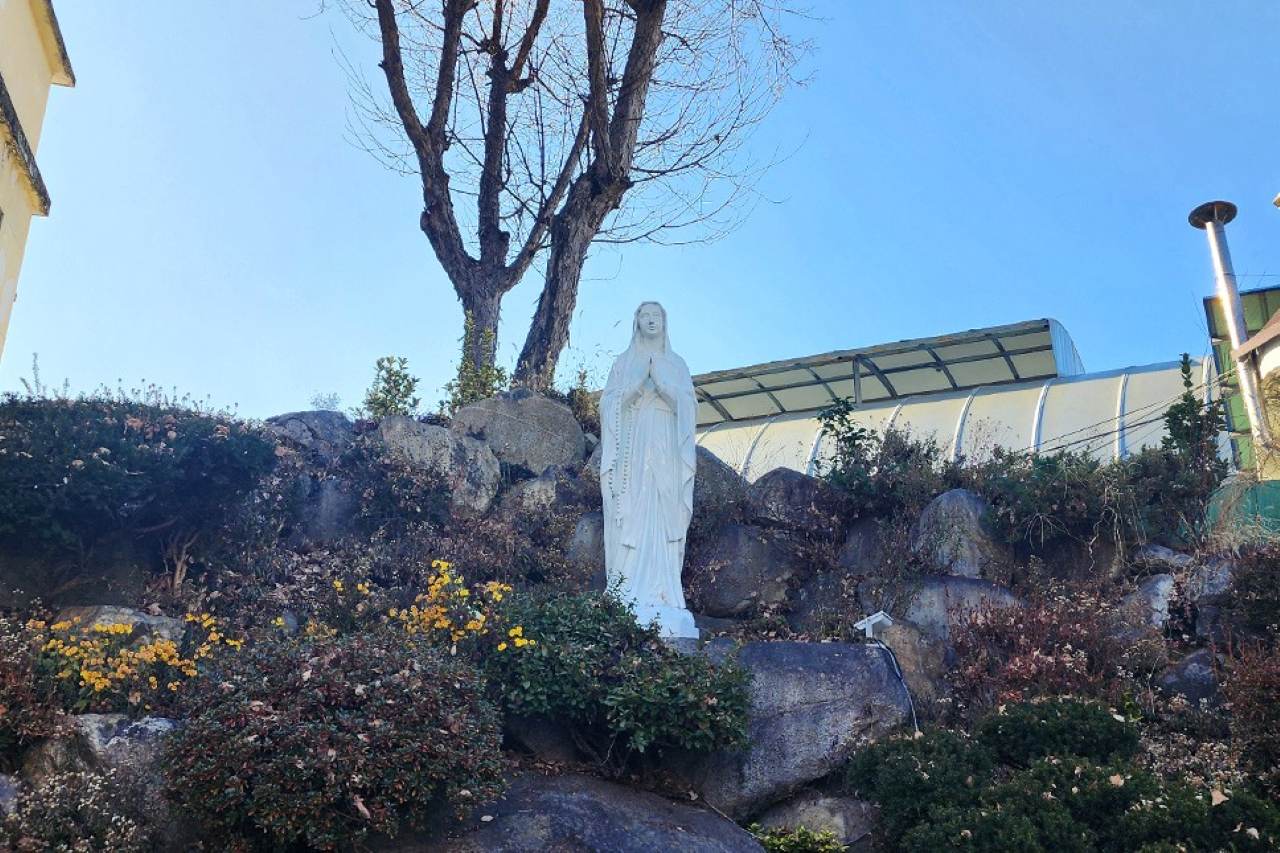 전주 7번쨰 국가등록문화유산 중앙성당