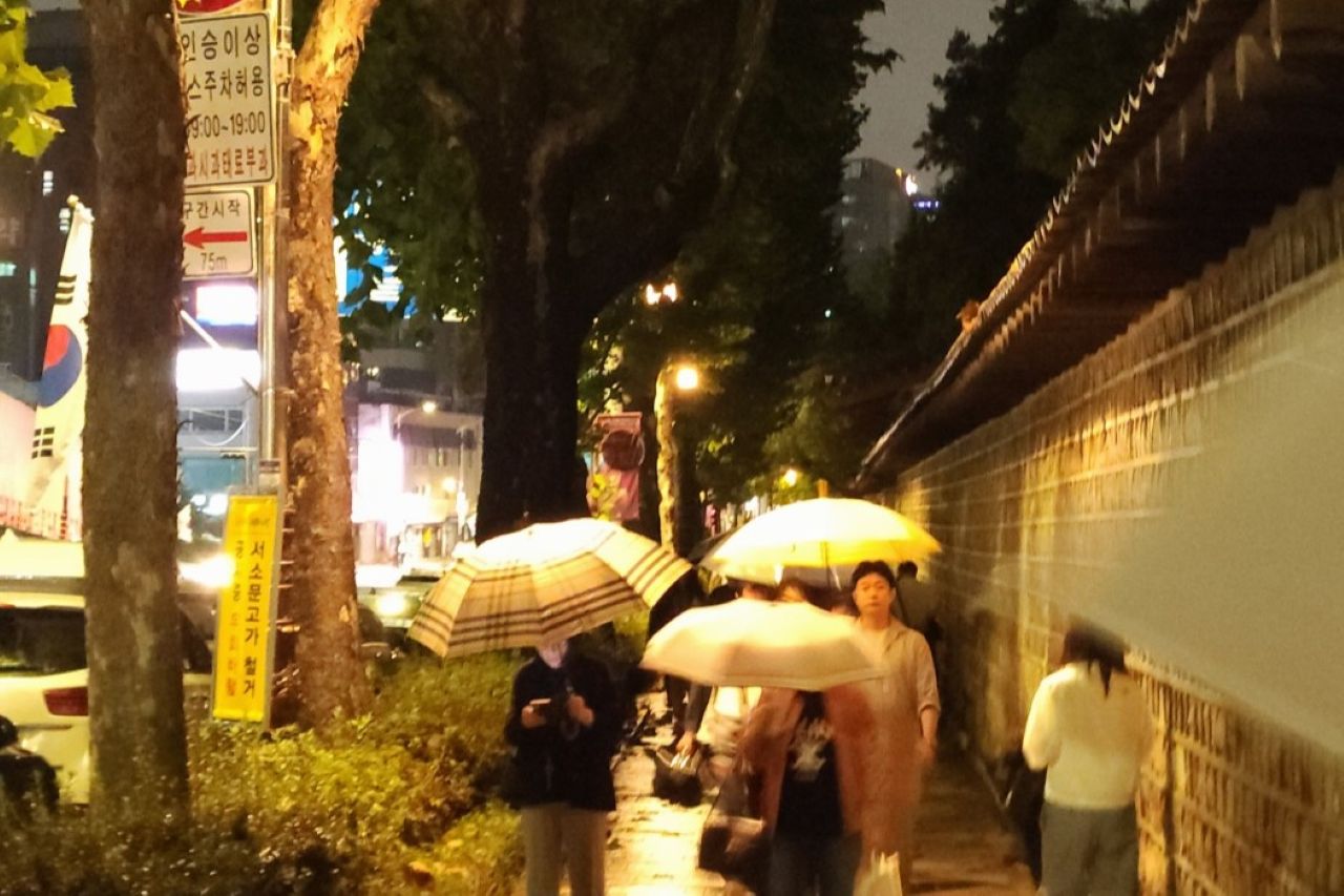 야간 산책 / 직접촬영