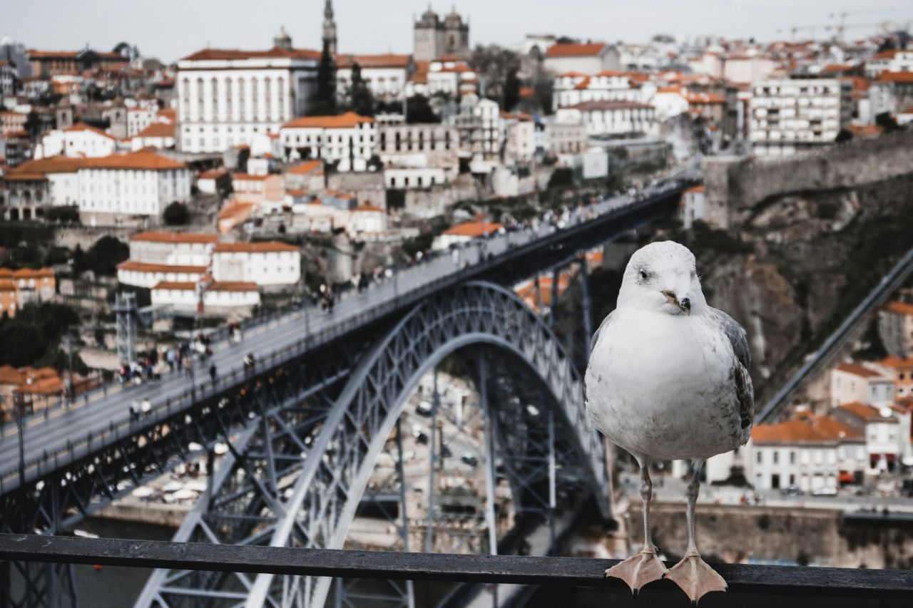 동 루이스 1세 다리 / 사진=unsplash@Cláudio Luiz Castro