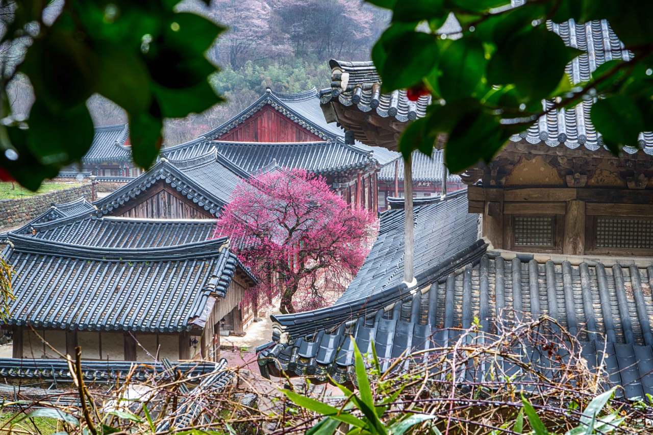 &nbsp;  Korea Tourism Organization Photo Korea@Gwon Hyang-soon