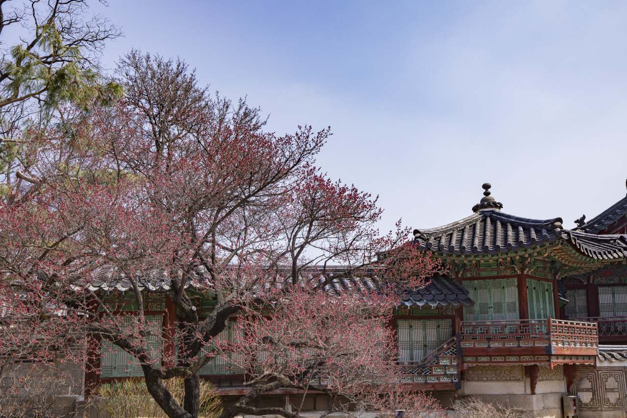 &nbsp;   Skip the Secret Garden booking hassle