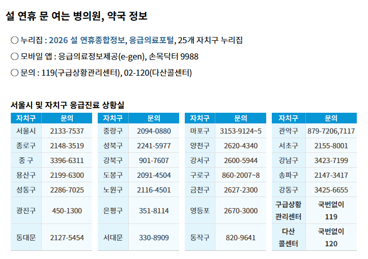 설날 연휴 서울 현황 /사진=서울시