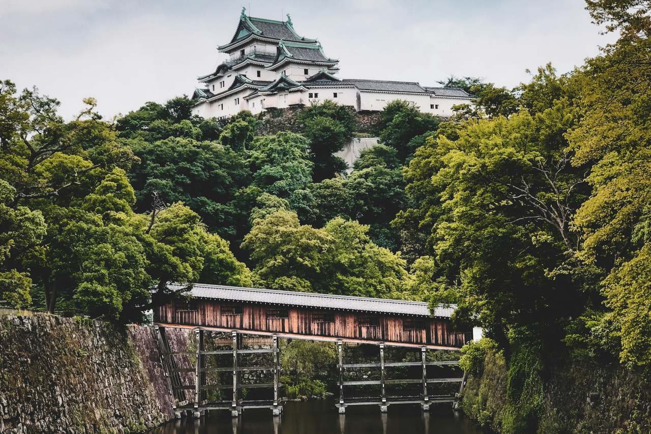 와카야마성 / 사진=unsplash@Andrea De Santis