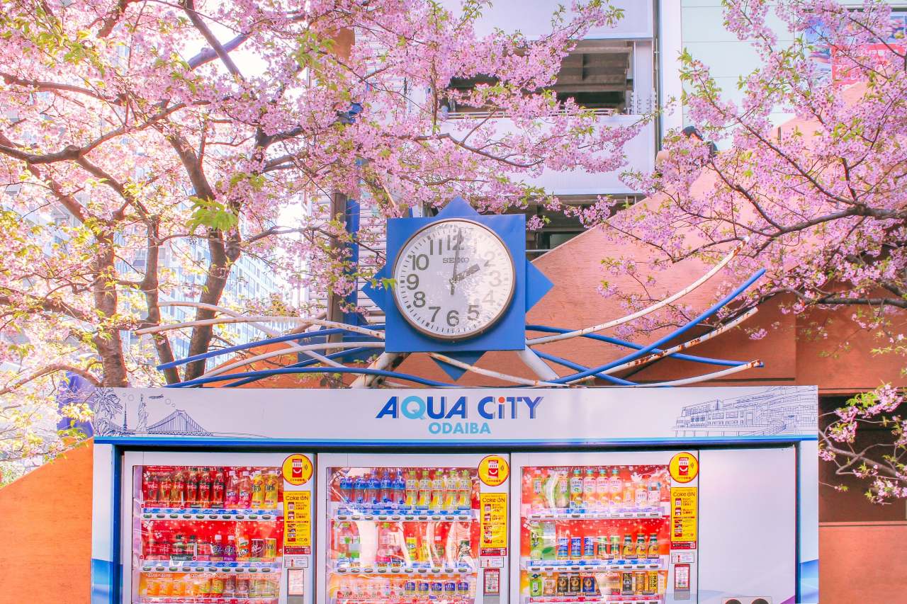 2026 규슈 지방 벚꽃 안내 / 사진=unsplash@patricia-haller-anguela