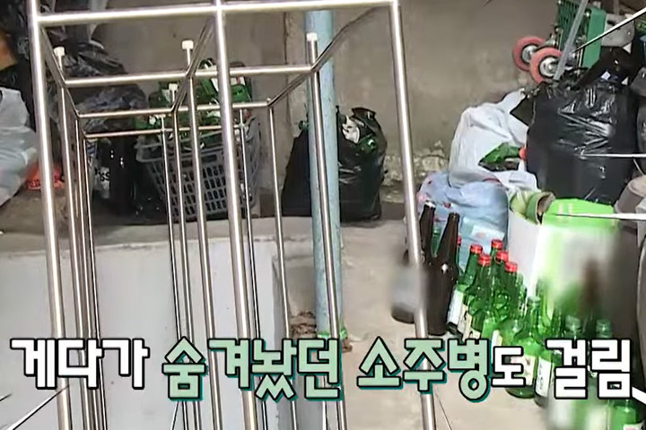 引用：TV朝鮮『愛情統一 南男北女』