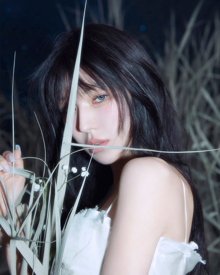 引用：Danal Entertainment