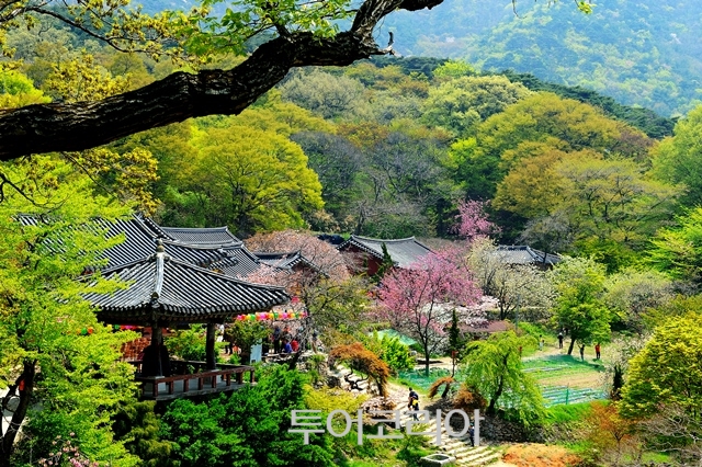 서산 4경 개심사 /사진-서산시 제공