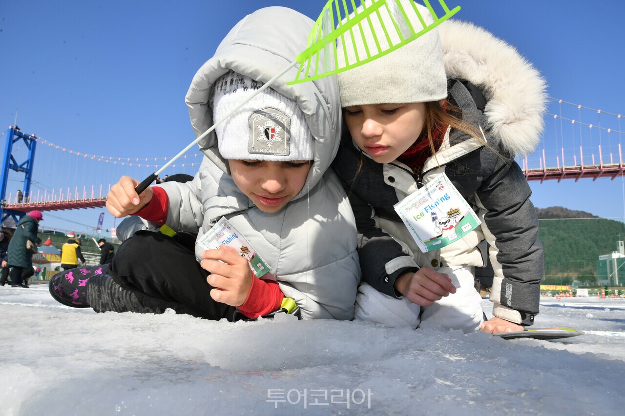 화천산천어축제 외국인낚시터 모습/사진-화천군