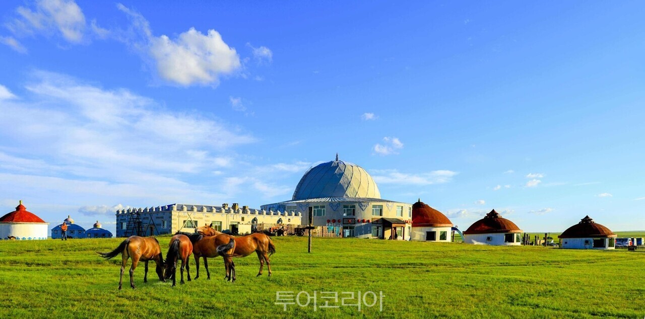 울란바토르 초원/사진-교원투어