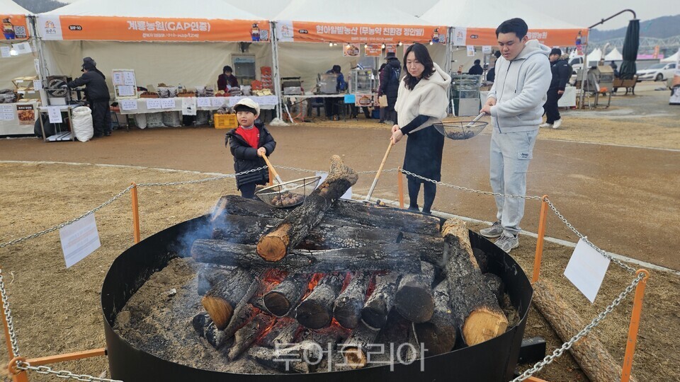 알밤구이 체험/ 투어코리아뉴스 유경훈 기자