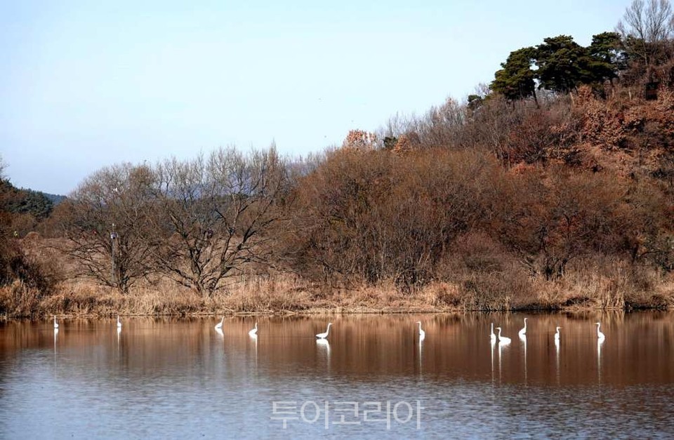 우포늪