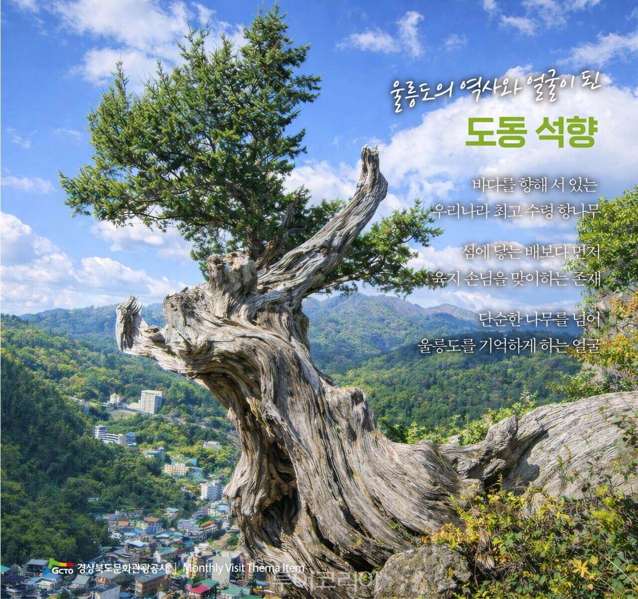 울릉 도동 석향/사진- 경상북도문화관광공사