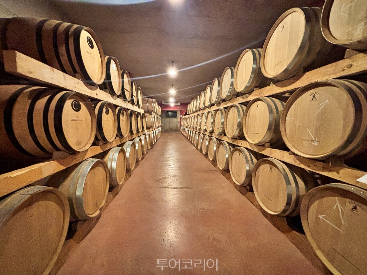 스페인 마요르카 와이너리/사진-코코유럽