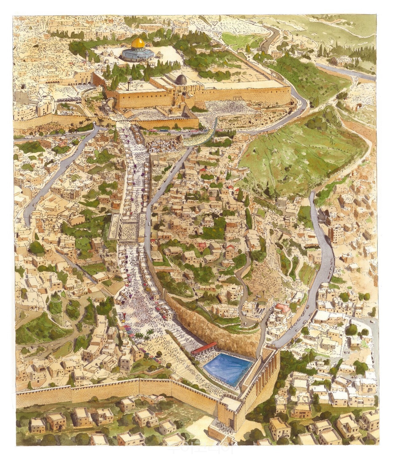 Explore the 2,000-Year-Old David’s City Pilgrimage Path: Uncover Hidden Jerusalem History